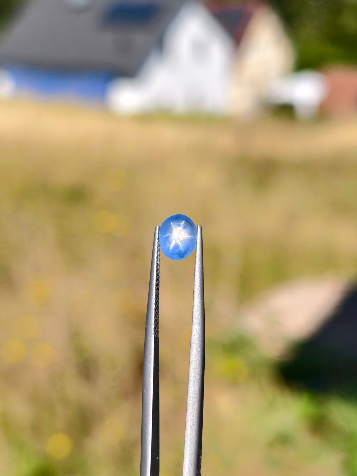 1.91ct Blue Star Sapphire from Sri Lanka (Ceylon)